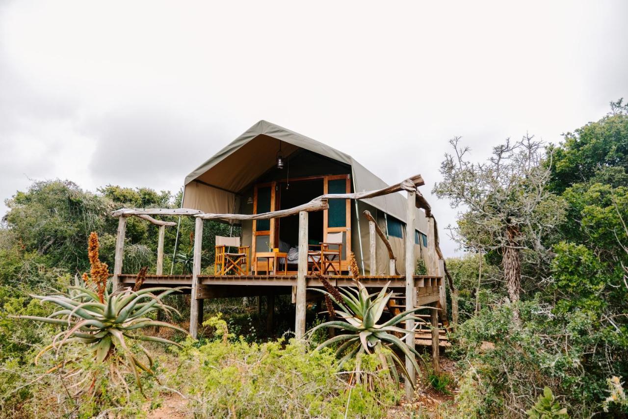 Woodbury Tented Camp - Amakhala Game Reserve Bagian luar foto