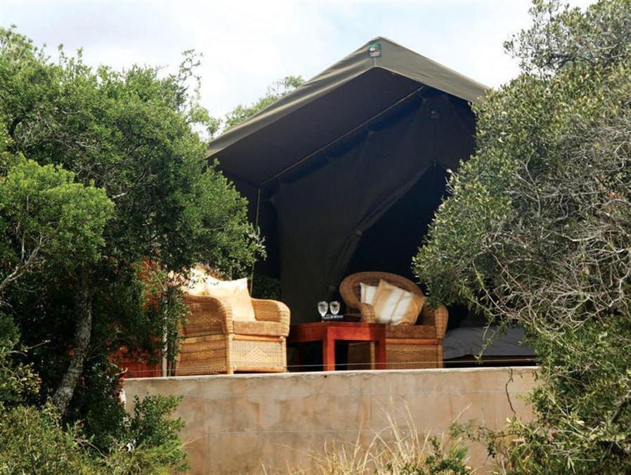 Woodbury Tented Camp - Amakhala Game Reserve Bagian luar foto